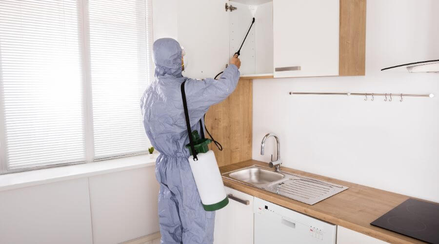 Professional pest control services in Castroville